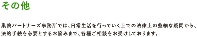 その他 巣鴨パートナーズ事務所では、日常生活を行っていく上での法律上の些細な疑問から、法的手続を必要とするお悩みまで、各種ご相談をお受けしております。